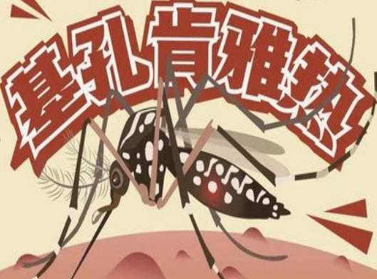基孔肯雅热健康科普