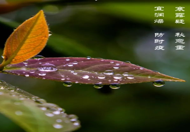 秋季高发的3类食源性疾病