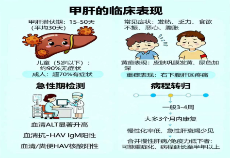 预防“吃”出来的肝炎